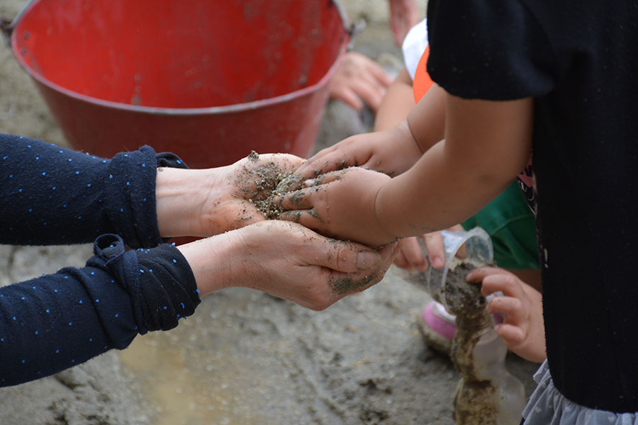 月乃輪保育園について